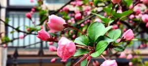 莫问归处，且行且歌～