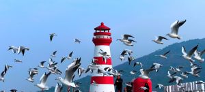 独行的人，心中有座不灭的灯塔！