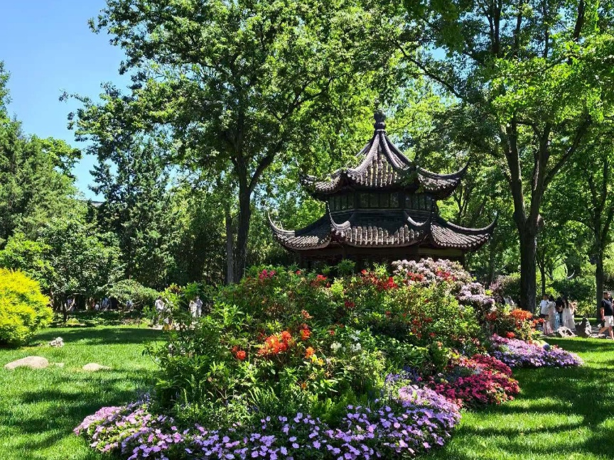 IMG_20260509_213917.jpg